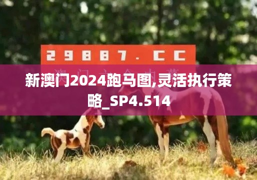 新澳门2024跑马图,灵活执行策略_SP4.514