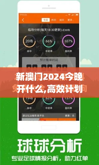 新澳门2024今晚开什么,高效计划设计实施_DP7.122