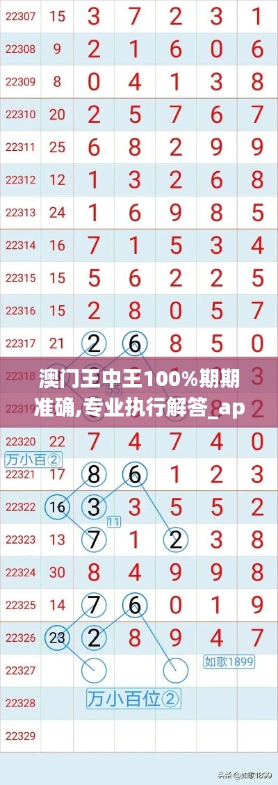 澳门王中王100%期期准确,专业执行解答_app7.327