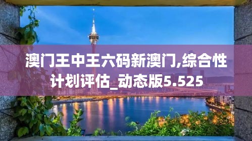 澳门王中王六码新澳门,综合性计划评估_动态版5.525