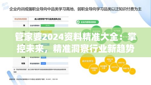 管家婆2024资料精准大全：掌控未来，精准洞察行业新趋势