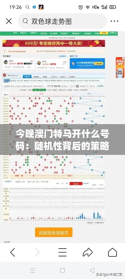 今晚澳门特马开什么号码：随机性背后的策略与直觉