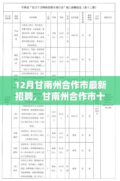 甘南州合作市最新招聘热点探析与多元观点探索