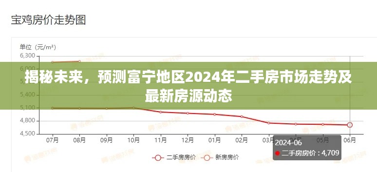 2024年12月22日 第11页