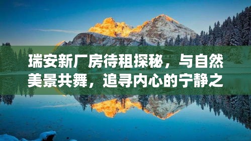 瑞安新厂房待租探秘，与自然和谐共舞，追寻内心宁静的工业之旅