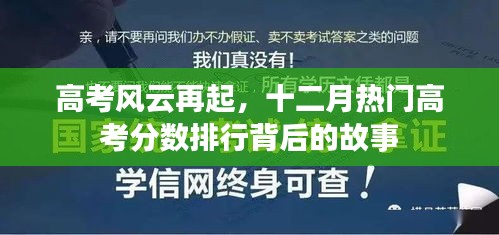 高考风云再起，热门排行背后的故事揭秘