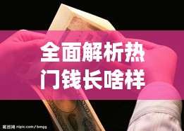 热门钱币解析与收藏指南，12月22日教你识别钱币特征与收藏技巧