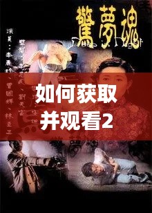 胭脂扣女烈视频观看指南，如何获取并观看最新视频（详细步骤）