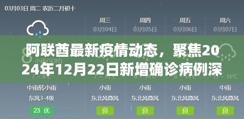 阿联酋最新疫情动态深度解析，聚焦新增确诊病例与深度探讨至2024年12月22日