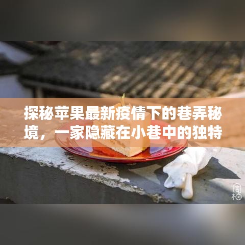 一心一意