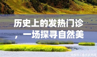 心灵自然之旅