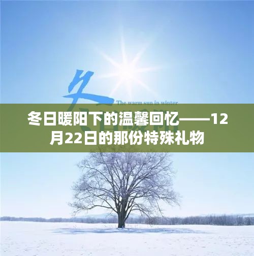 冬日暖阳下的特殊礼物回忆——温馨回忆的启示