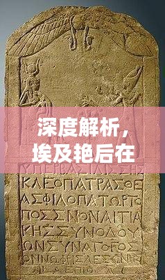 深度解析，埃及艳后独特魅力闪耀2024年12月22日