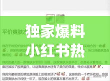 独家揭秘，小红书热推背后的秘密故事，SCP热门编号揭晓在即（2024年12月22日）