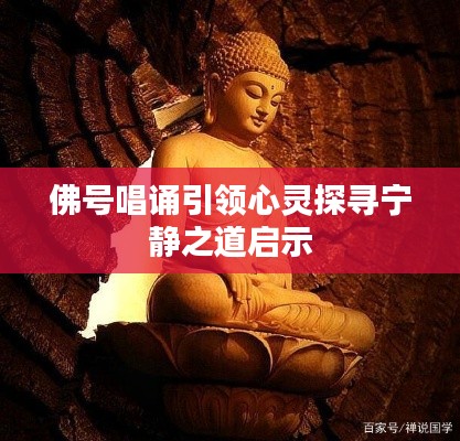 小鸟伊人