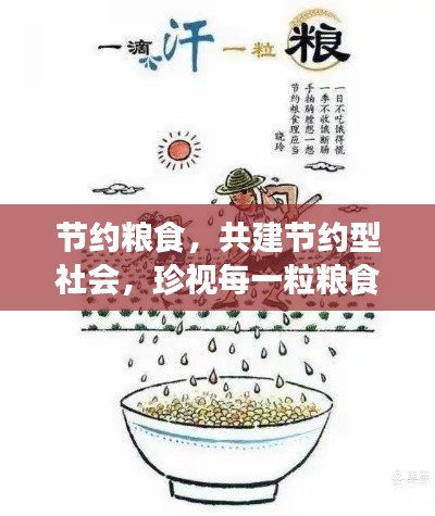 节约粮食，共建节约型社会，珍视每一粒粮食的力量！