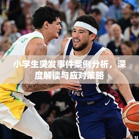 小学生突发事件案例分析，深度解读与应对策略