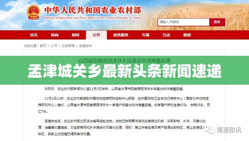 孟津城关乡最新头条新闻速递