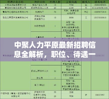 中聚人力平原最新招聘信息全解析，职位、待遇一网打尽