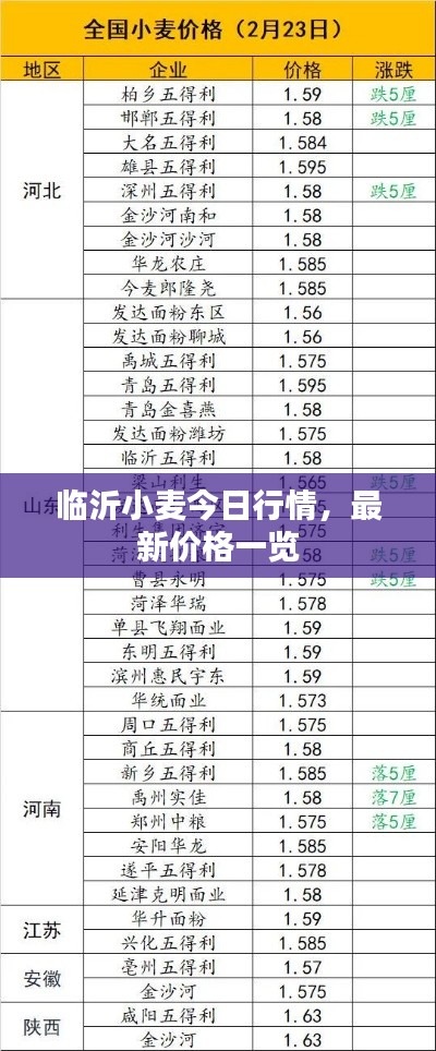 临沂小麦今日行情，最新价格一览
