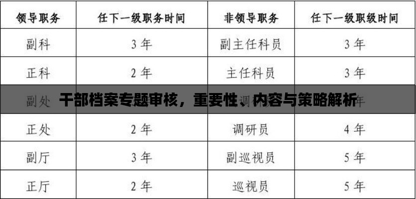 干部档案专题审核，重要性、内容与策略解析