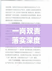 一岗双责落实深度汇报，实践方法与成效