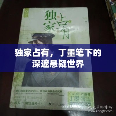 独家占有，丁墨笔下的深邃悬疑世界