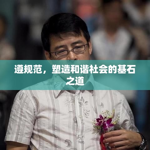 遵规范，塑造和谐社会的基石之道
