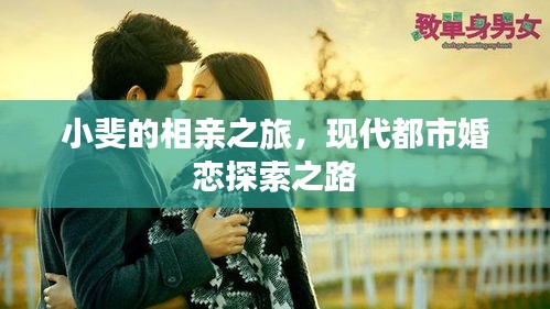 小斐的相亲之旅，现代都市婚恋探索之路