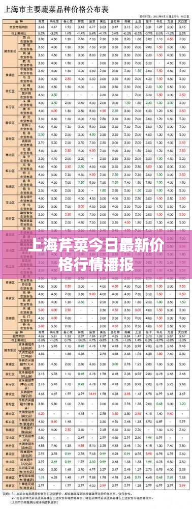 2025年4月 第30页