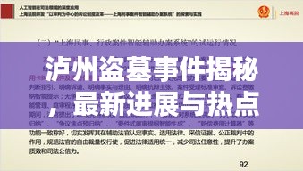 泸州盗墓事件揭秘，最新进展与热点解读