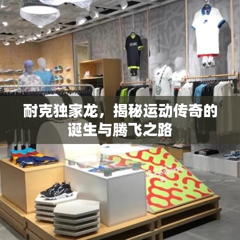 耐克独家龙，揭秘运动传奇的诞生与腾飞之路