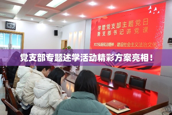 党支部专题述学活动精彩方案亮相！