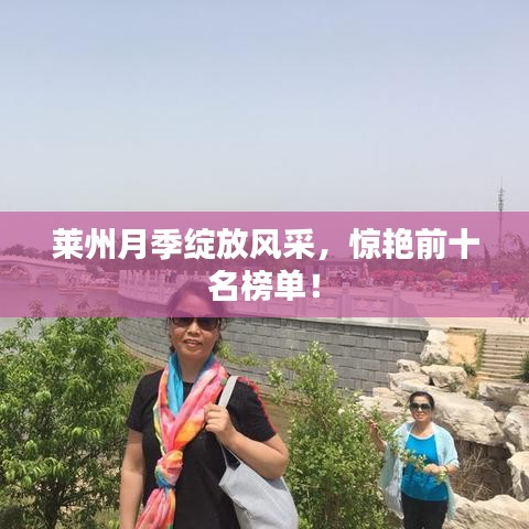 莱州月季绽放风采，惊艳前十名榜单！