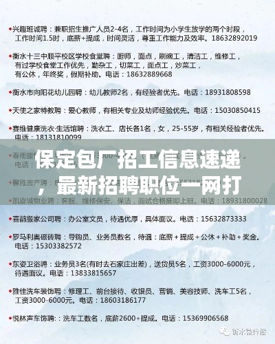 保定包厂招工信息速递，最新招聘职位一网打尽