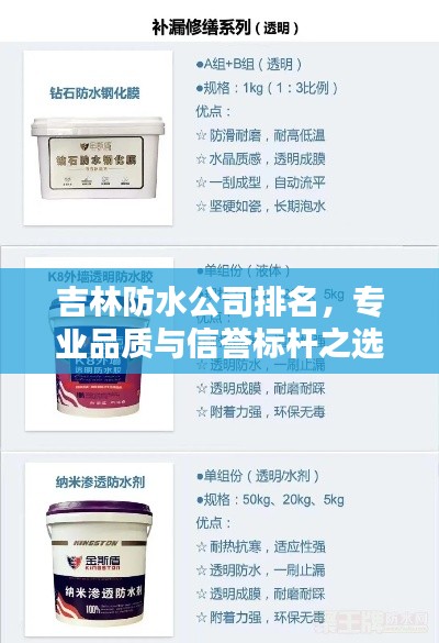 吉林防水公司排名，专业品质与信誉标杆之选