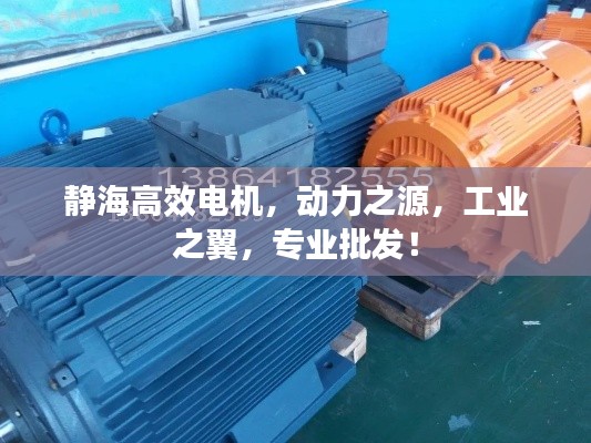 静海高效电机，动力之源，工业之翼，专业批发！
