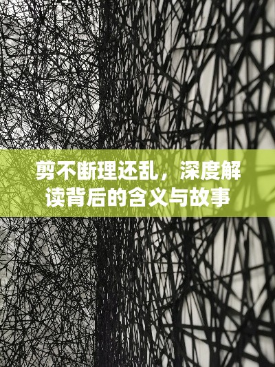 剪不断理还乱，深度解读背后的含义与故事