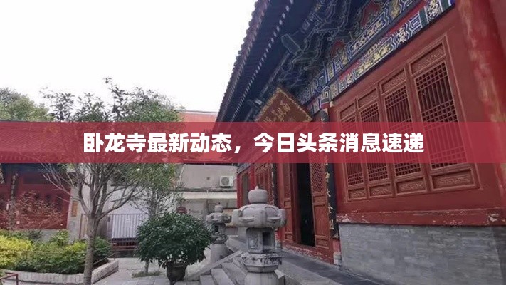 卧龙寺最新动态，今日头条消息速递