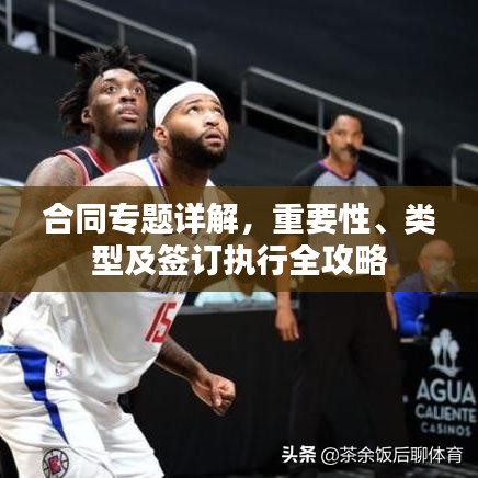 合同专题详解，重要性、类型及签订执行全攻略