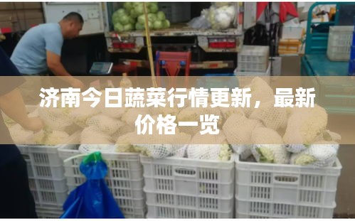济南今日蔬菜行情更新，最新价格一览