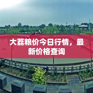 2025年5月17日