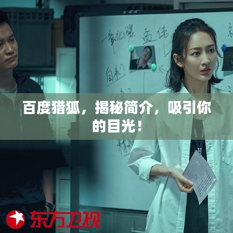 百度猎狐，揭秘简介，吸引你的目光！