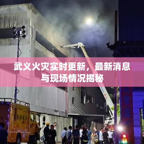 武义火灾实时更新，最新消息与现场情况揭秘