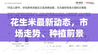 花生米最新动态，市场走势、种植前景深度解析，产业洞察报告揭秘！