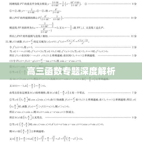 高三函数专题深度解析