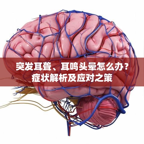 突发耳聋、耳鸣头晕怎么办？症状解析及应对之策
