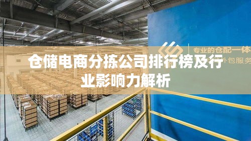 仓储电商分拣公司排行榜及行业影响力解析