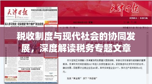 税收制度与现代社会的协同发展，深度解读税务专题文章
