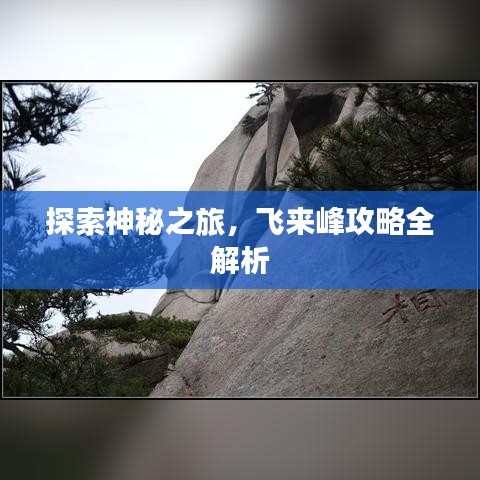 探索神秘之旅，飞来峰攻略全解析